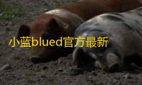 小蓝blued官方最新版